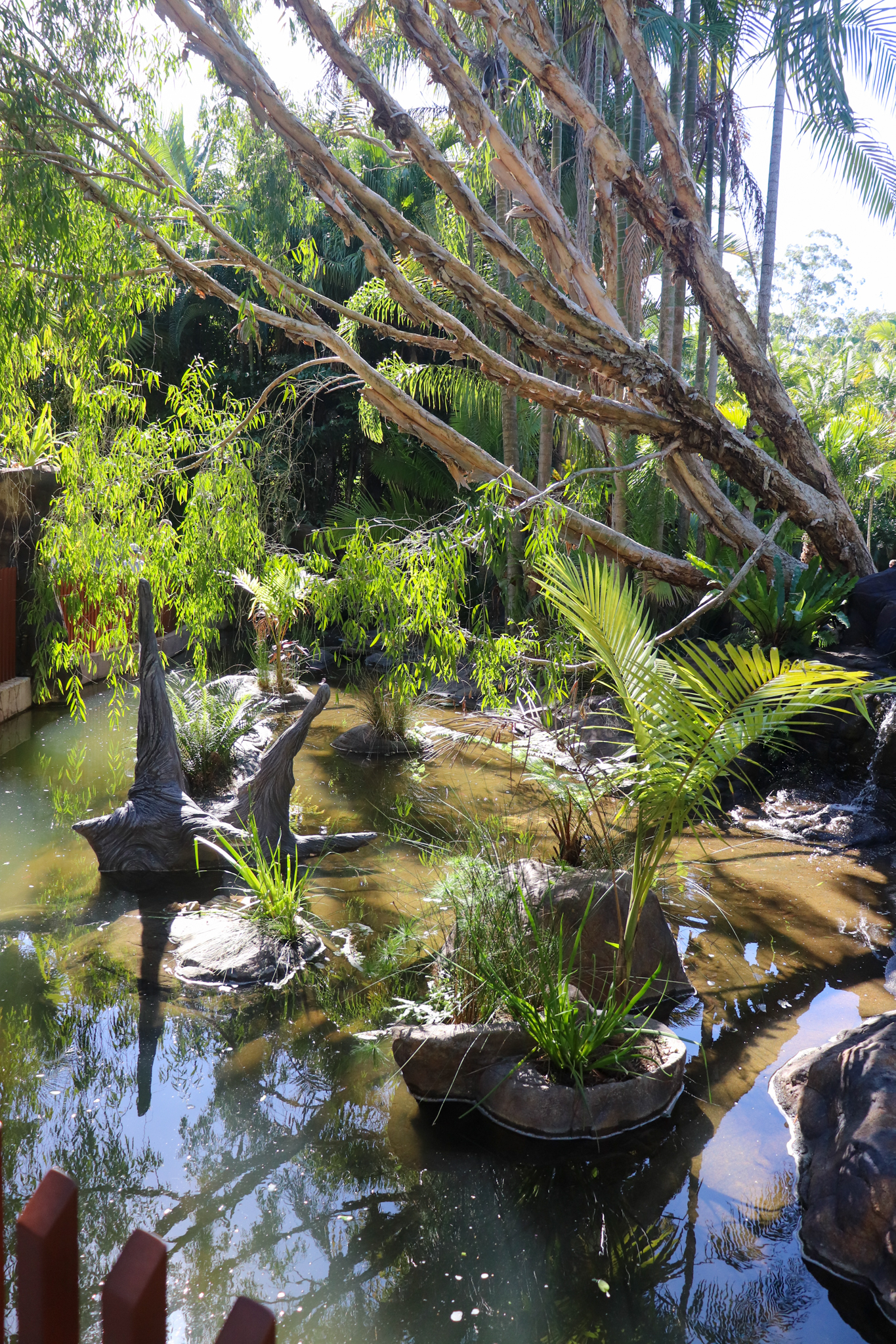 Renovated Turtle Enclosure - Crocodile Environmental Park (Renovated in 2020)