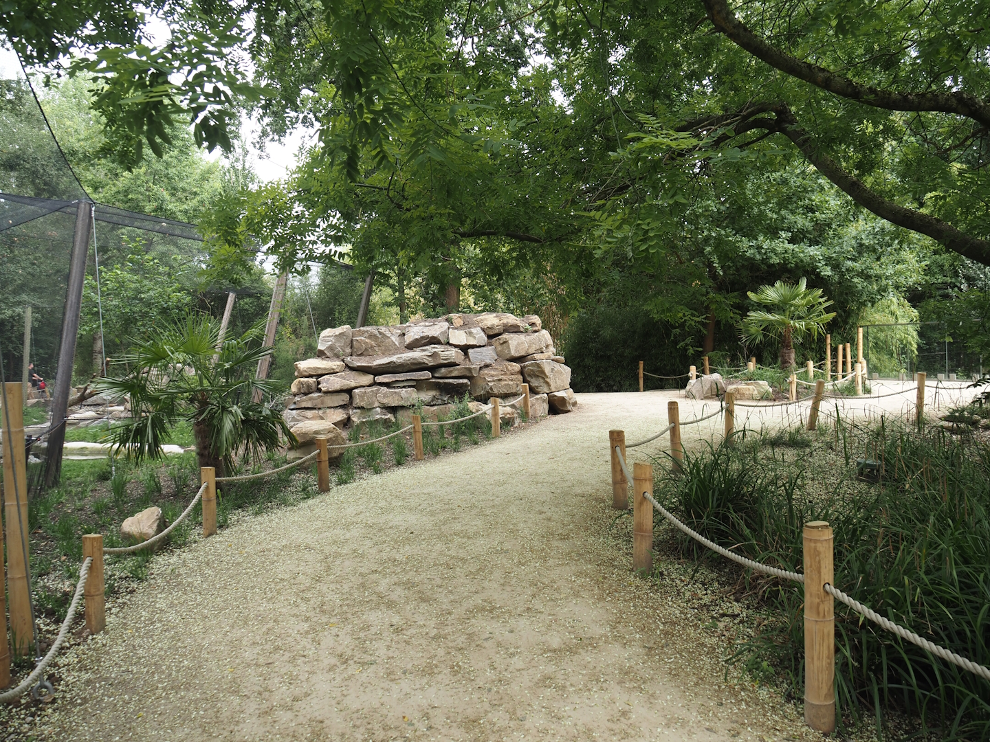 Renovated walkway between the new Asian stork aviaries and the Asiatic lion exhibit, 2025-07-12