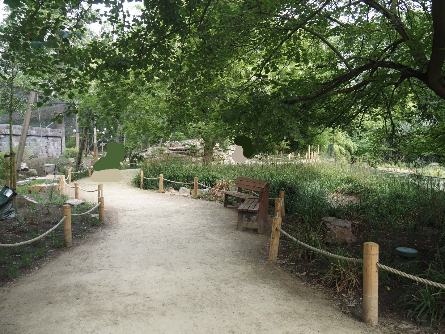 Renovated walkway between the new Asian stork aviaries and the Asiatic lion exhibit, 2025-07-12