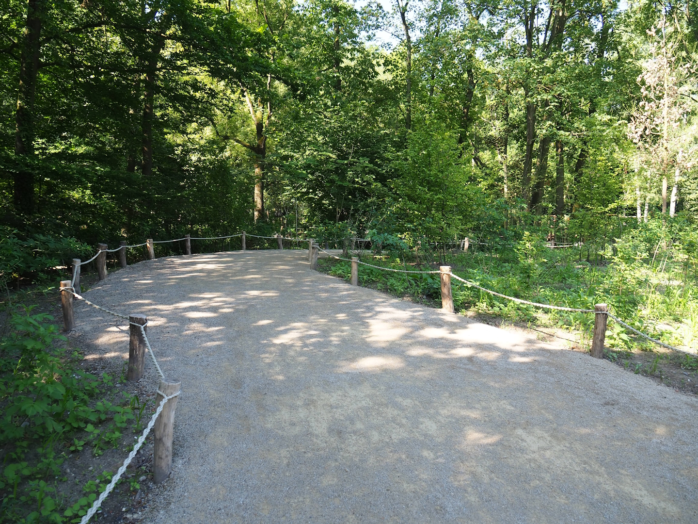 Renovated walkway in the African ungulate area, 2023-07-19