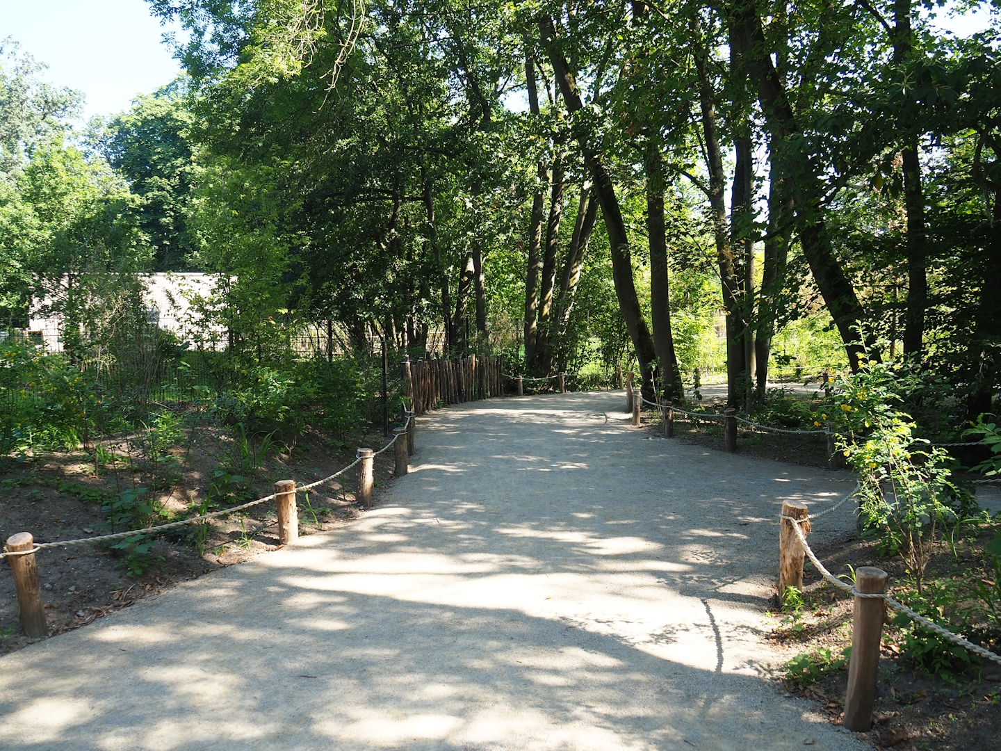 Renovated walkway in the African ungulate area, 2023-07-19
