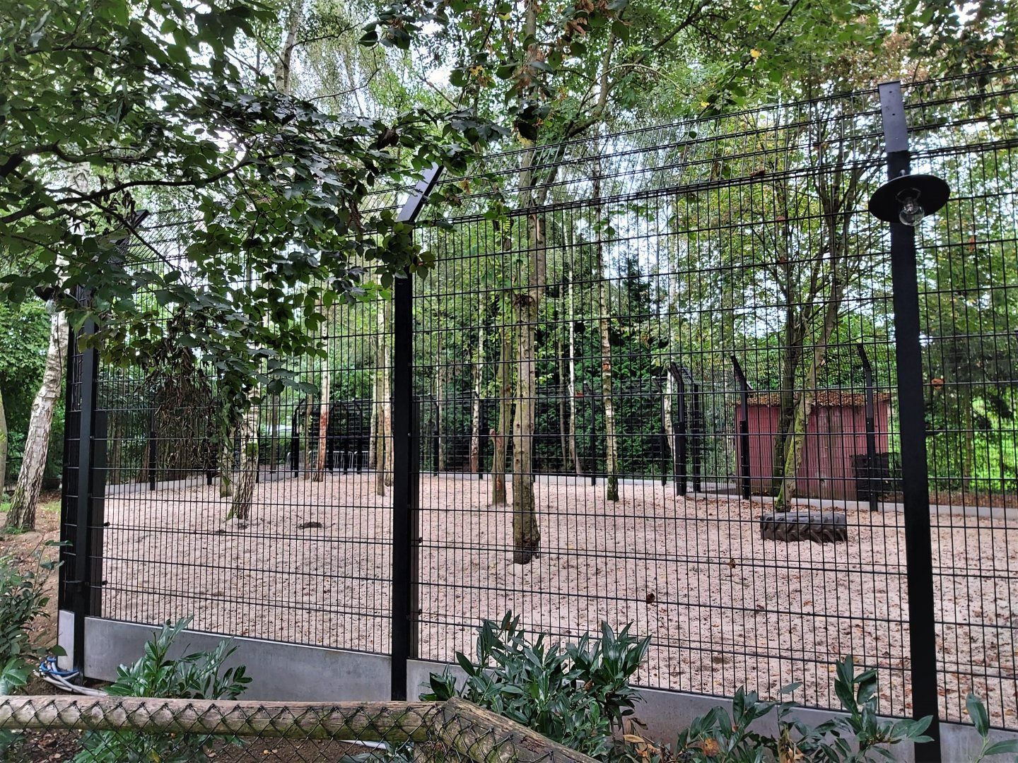 Renovated white lion enclosure