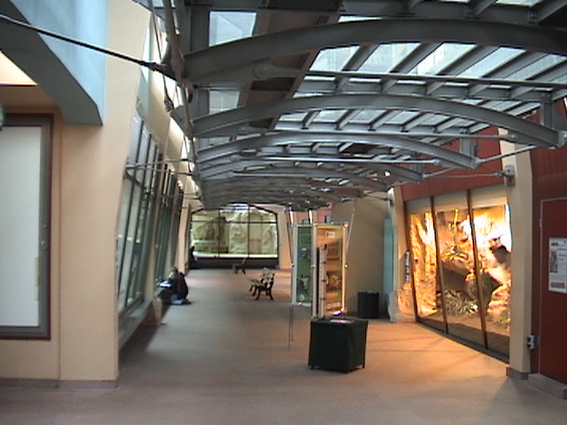 Renovated Wild Cat House Zoo Halle