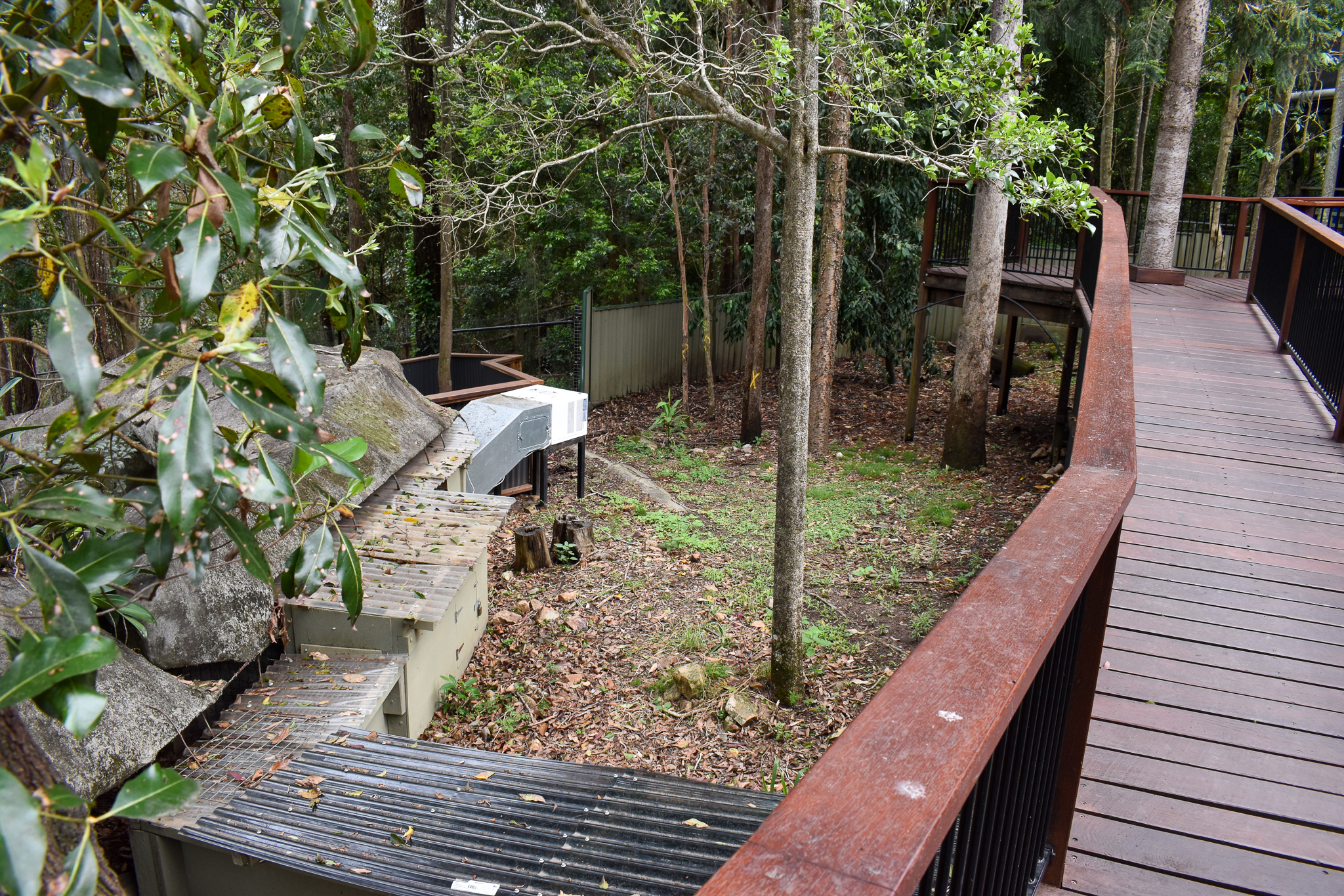 Renovated Wombat Enclosure