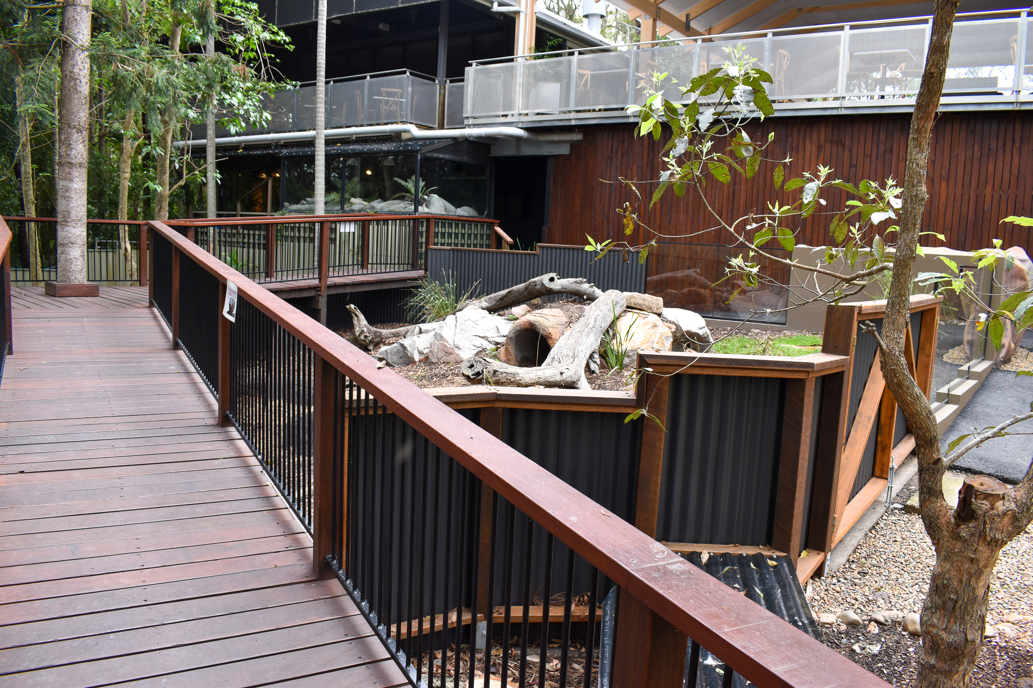 Renovated Wombat Enclosure