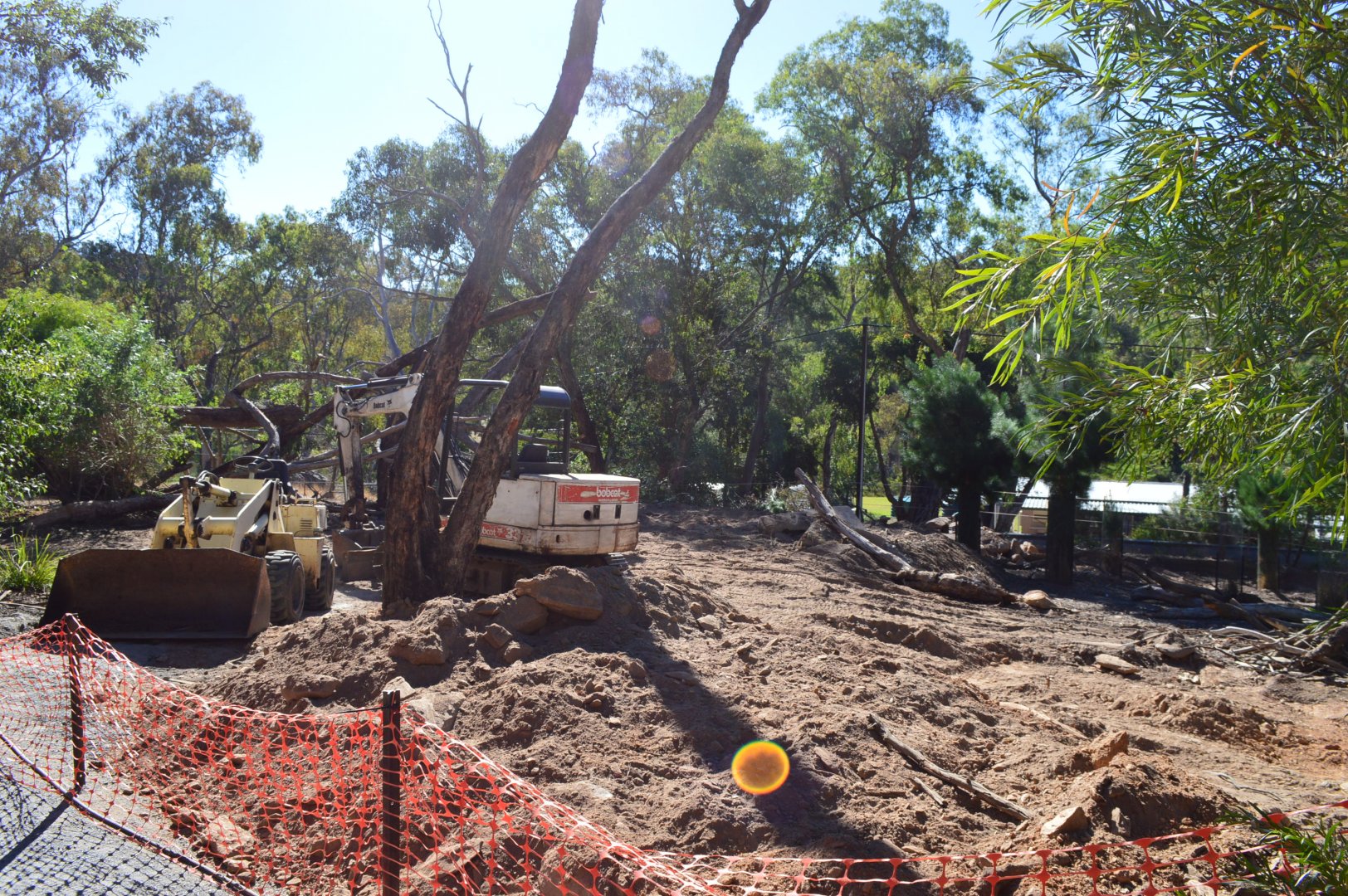 Renovation for Future Capuchin Enclosure