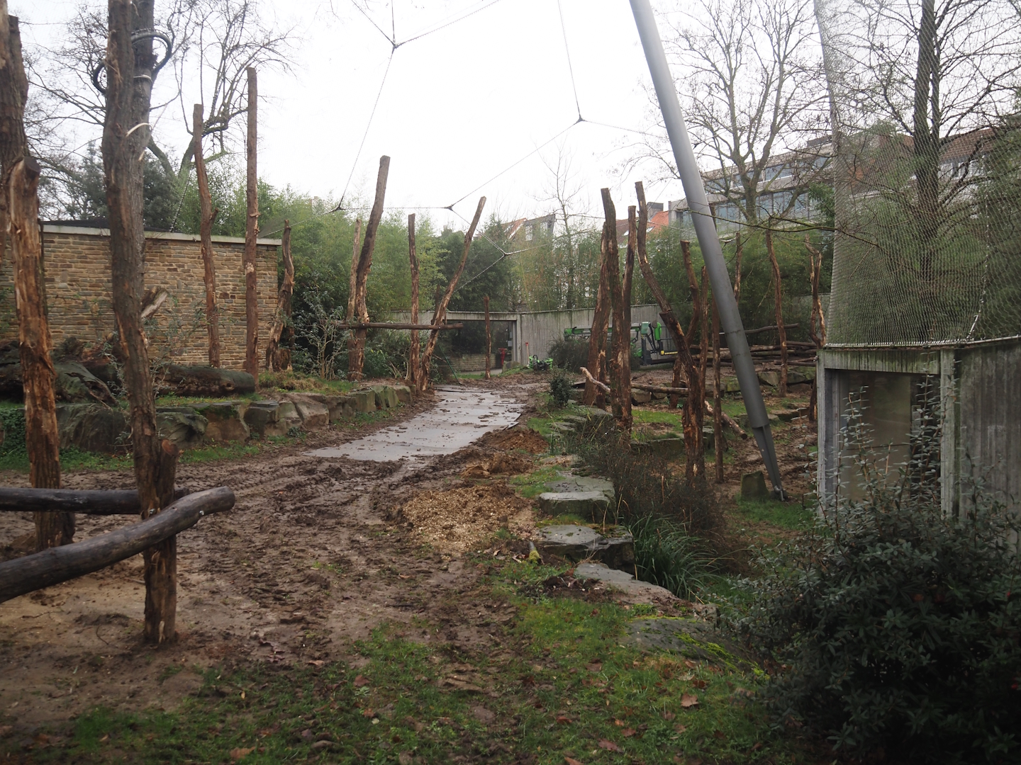 Renovation of climbing structures in the chimpanzee outdoor exhibits, 2025-01-04