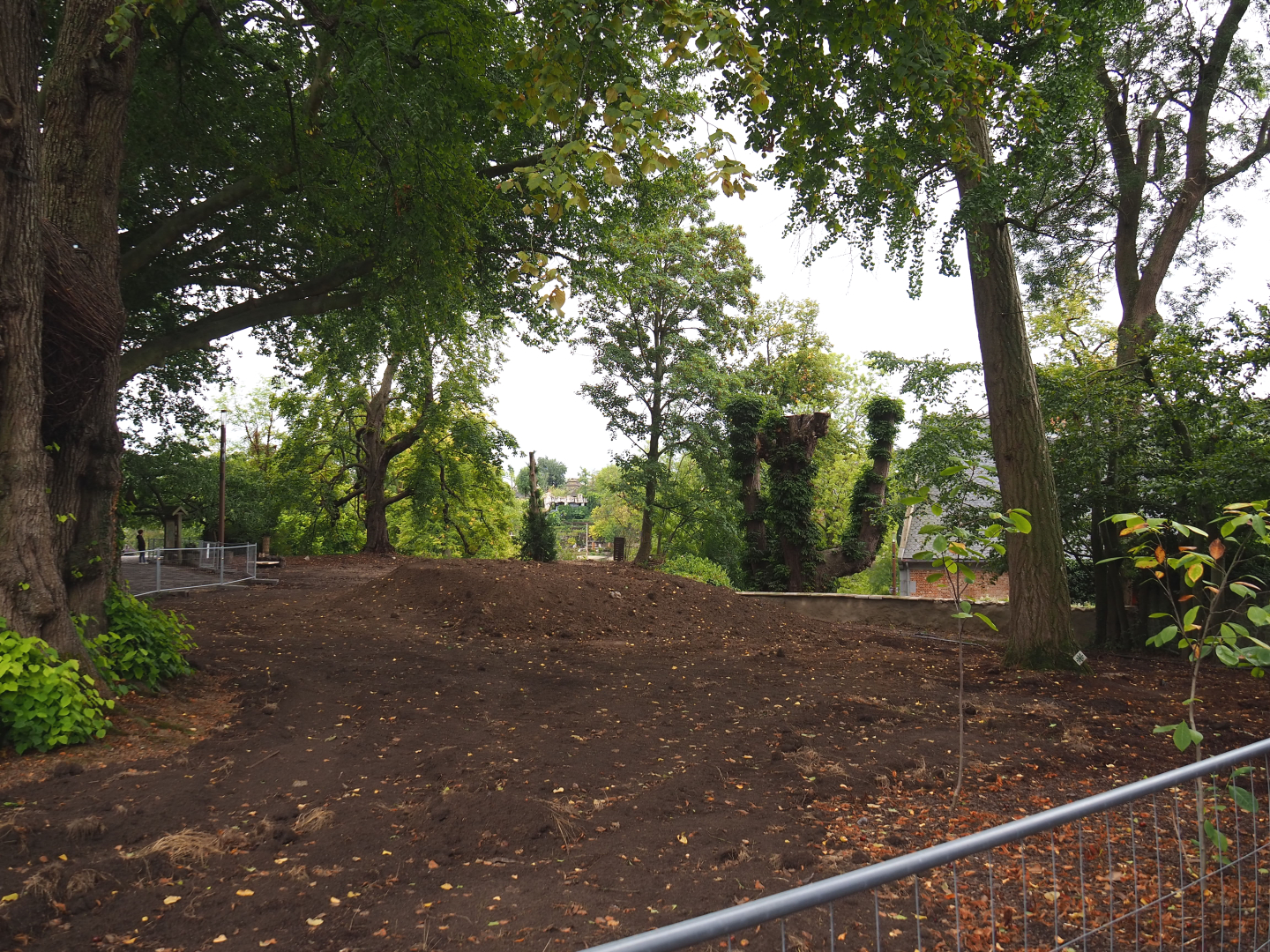 Renovation of gardens between brewery and old abbey tower, 2022-09-15