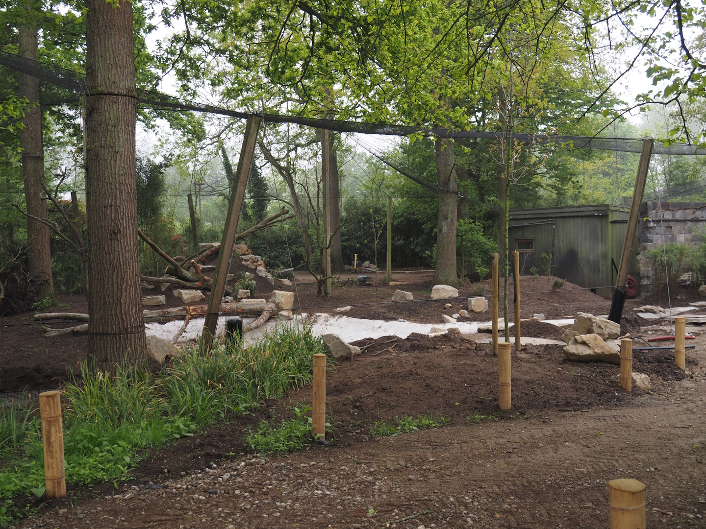 Renovation of one of the Asian aviaries near the Asiatic lion exhibit, 2025-04-26