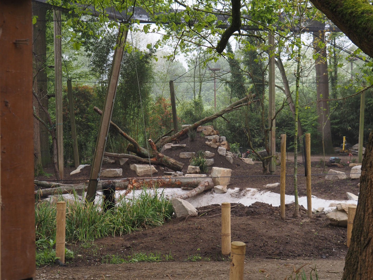 Renovation of one of the Asian aviaries near the Asiatic lion exhibit, 2025-04-26