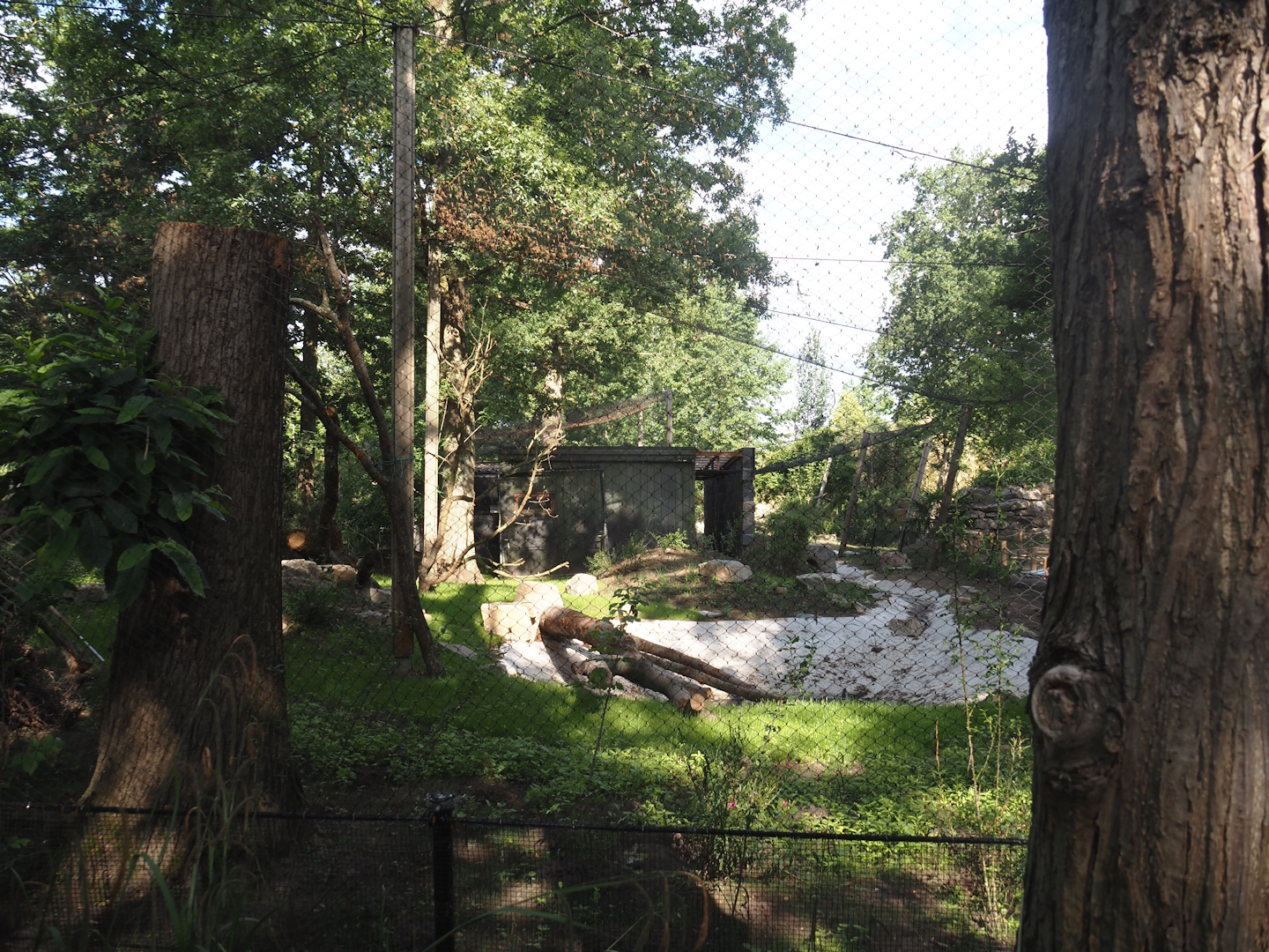 Renovation of one of the Asian aviaries near the Asiatic lion exhibit, 2025-06-03