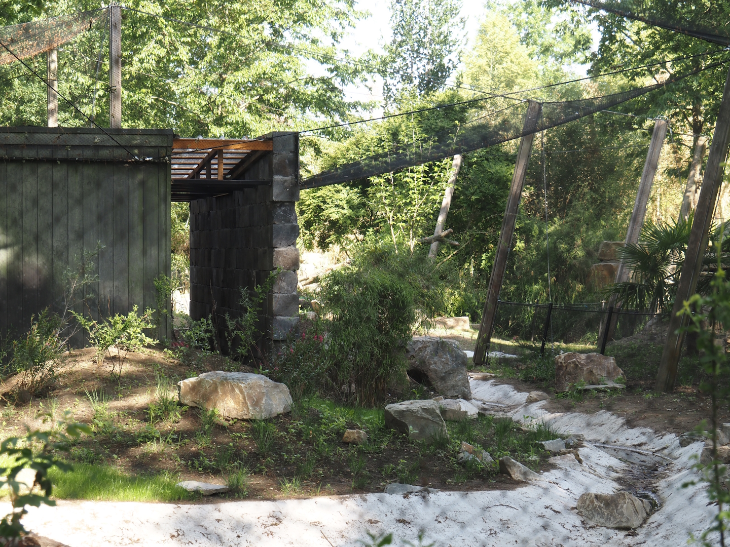 Renovation of one of the Asian aviaries near the Asiatic lion exhibit, 2025-06-03