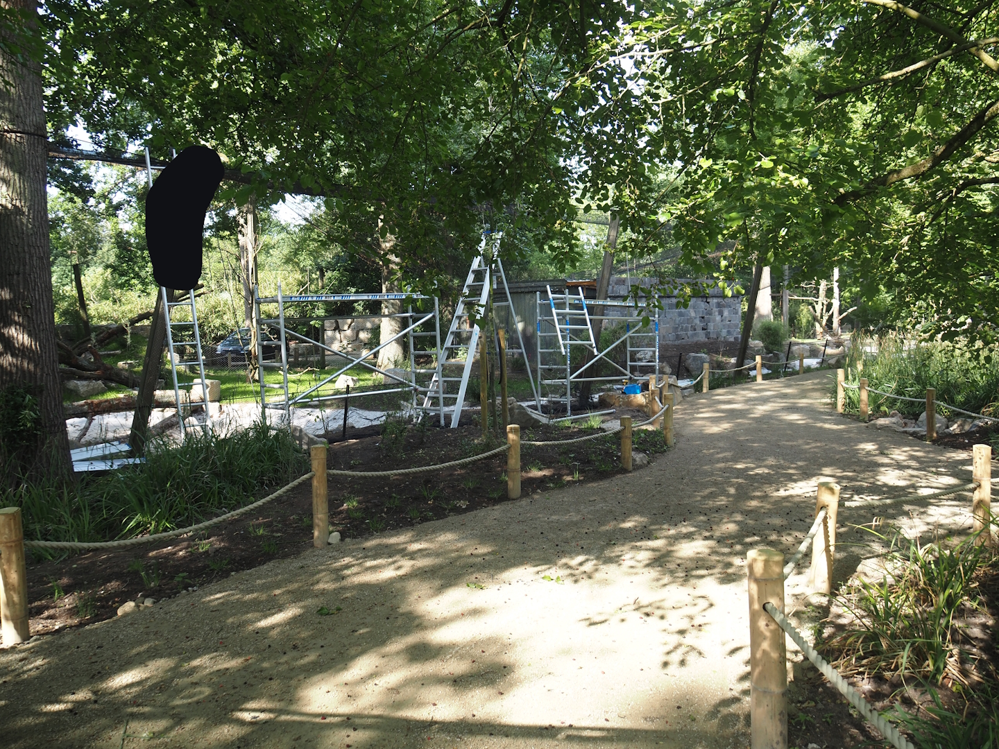 Renovation of one of the Asian aviaries near the Asiatic lion exhibit, 2025-06-03