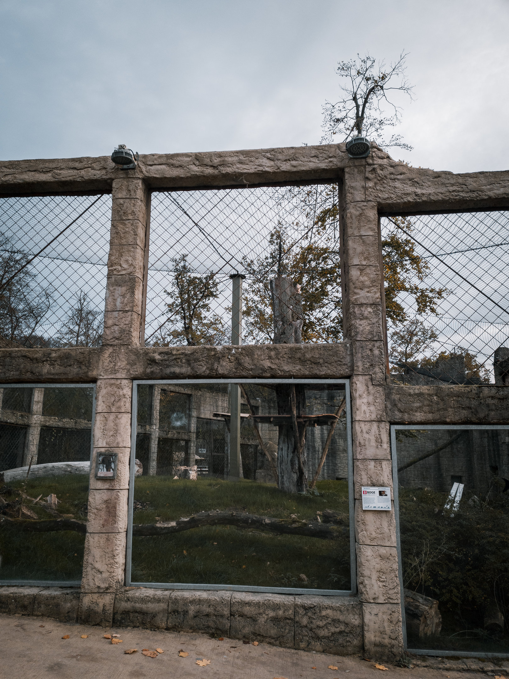Renovation of Red Panda and tufted deer enclosure