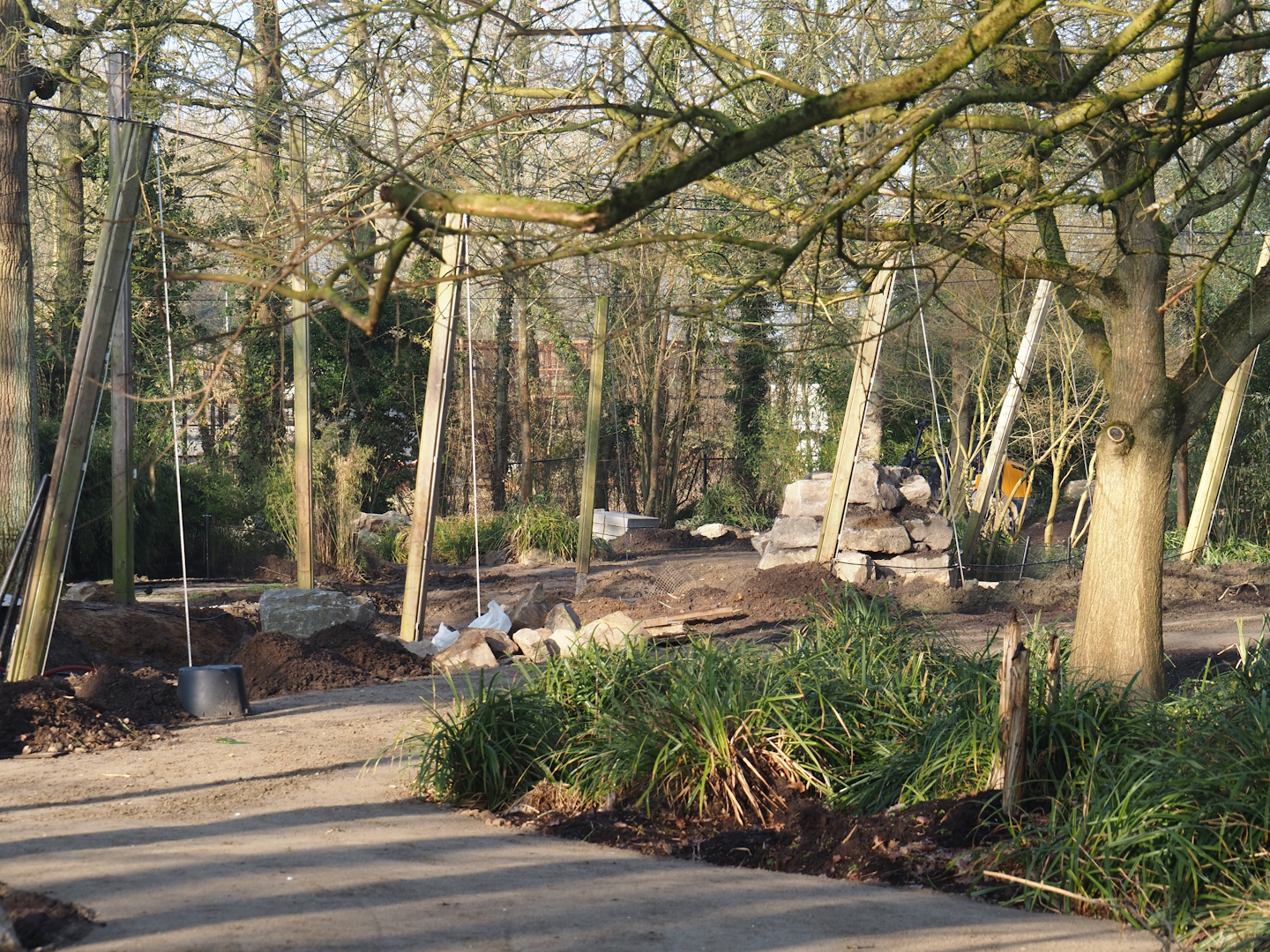 Renovation of the Asian aviaries and construction of a new walkway near the Asiatic lion exhibit, 2025-03-02