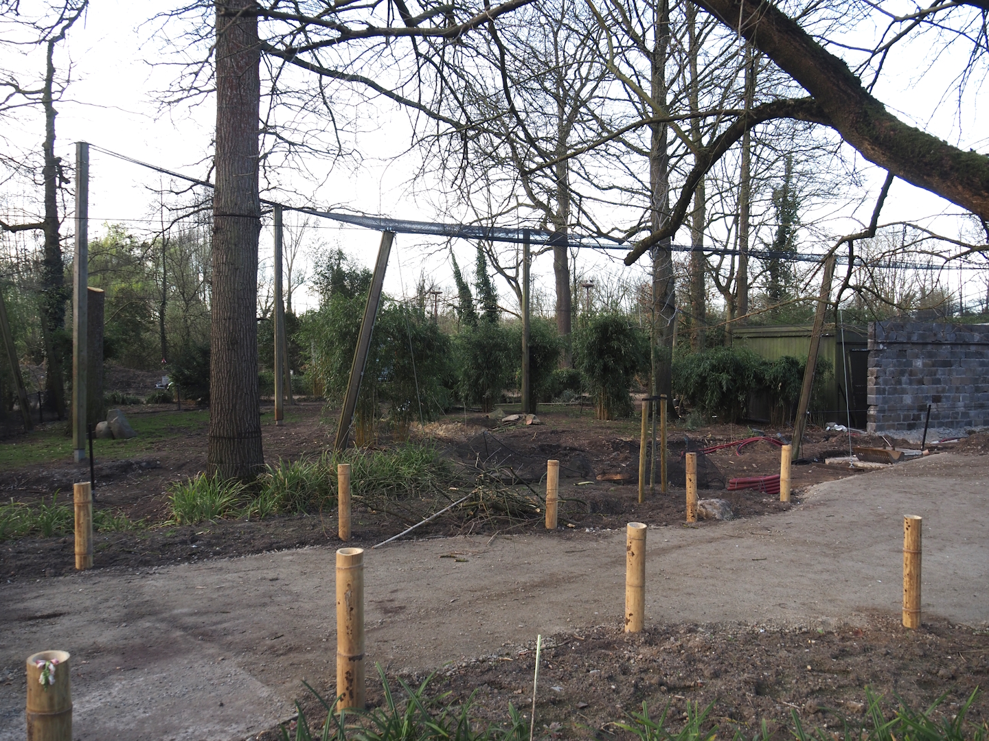 Renovation of the Asian aviaries and construction of a new walkway near the Asiatic lion exhibit, 2025-03-23