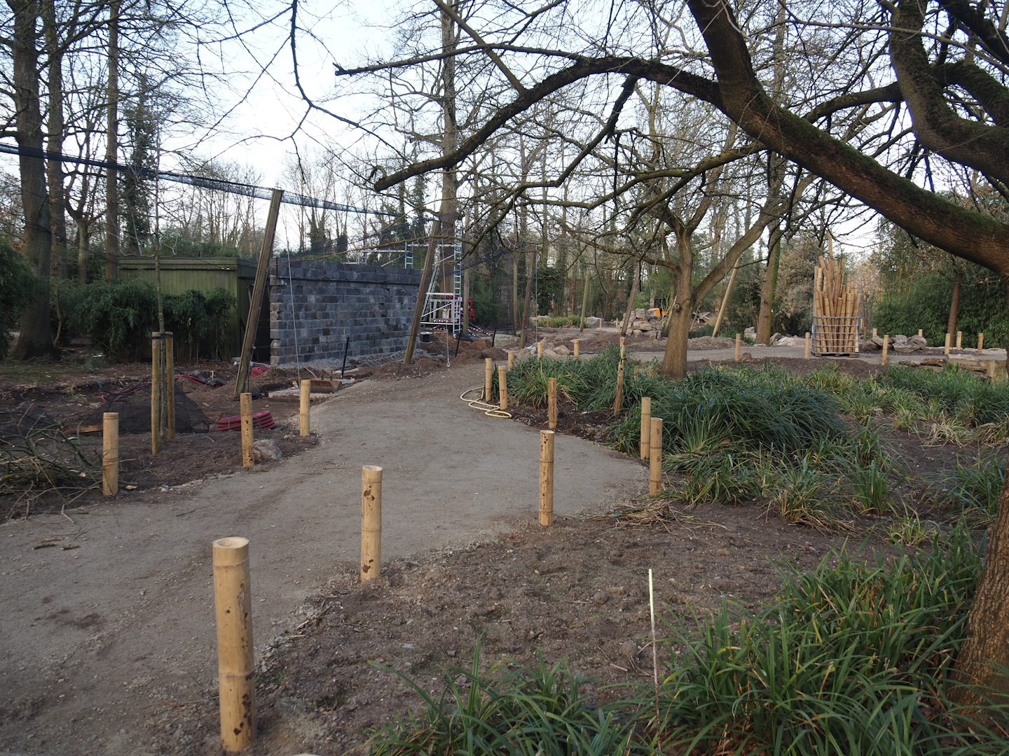 Renovation of the Asian aviaries and construction of a new walkway near the Asiatic lion exhibit, 2025-03-23