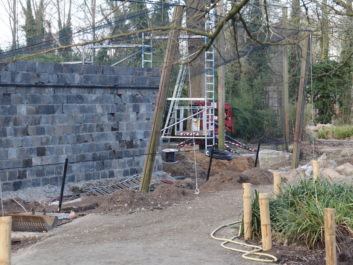 Renovation of the Asian aviaries and construction of a new walkway near the Asiatic lion exhibit, 2025-03-23