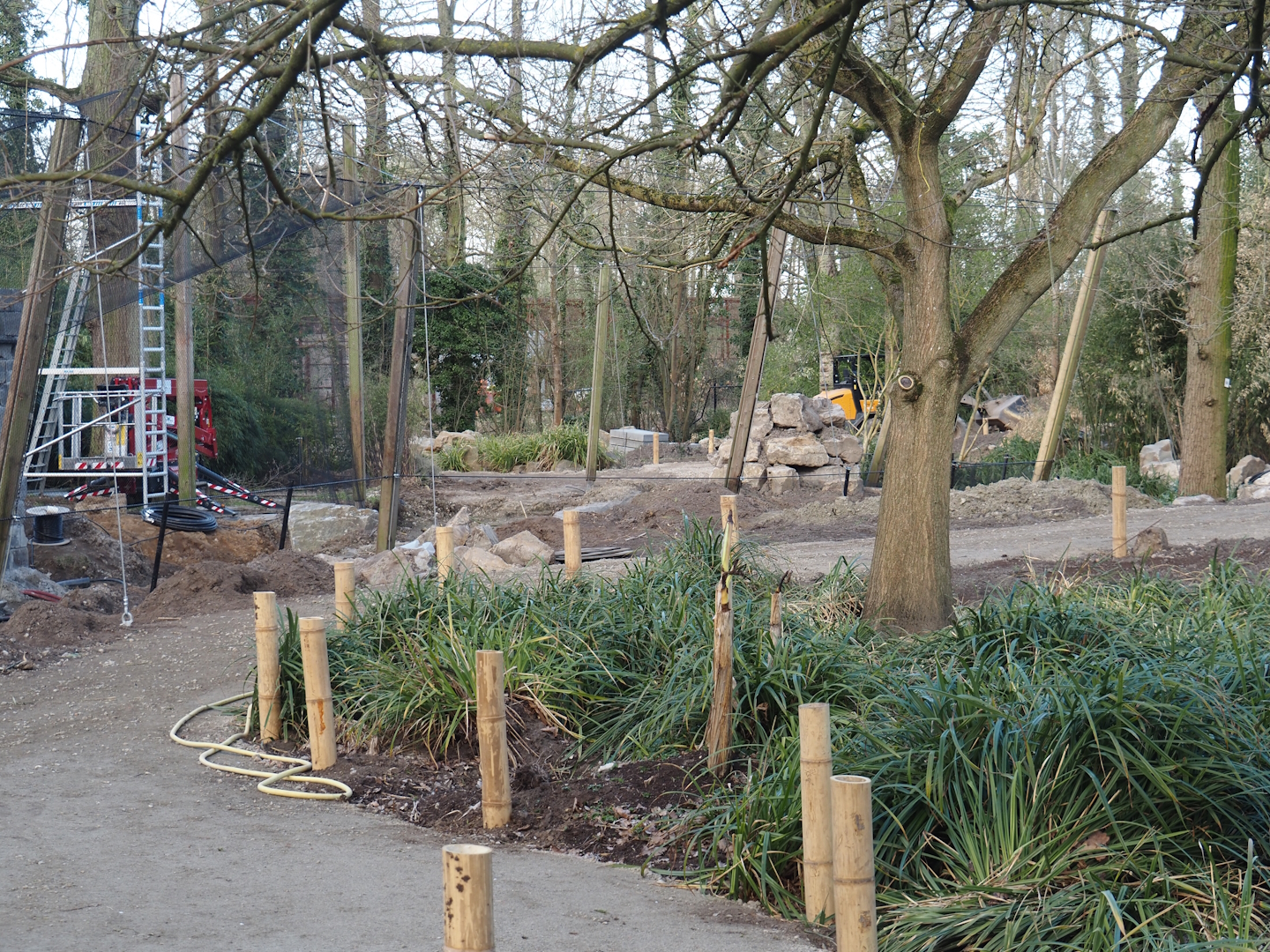 Renovation of the Asian aviaries and construction of a new walkway near the Asiatic lion exhibit, 2025-03-23