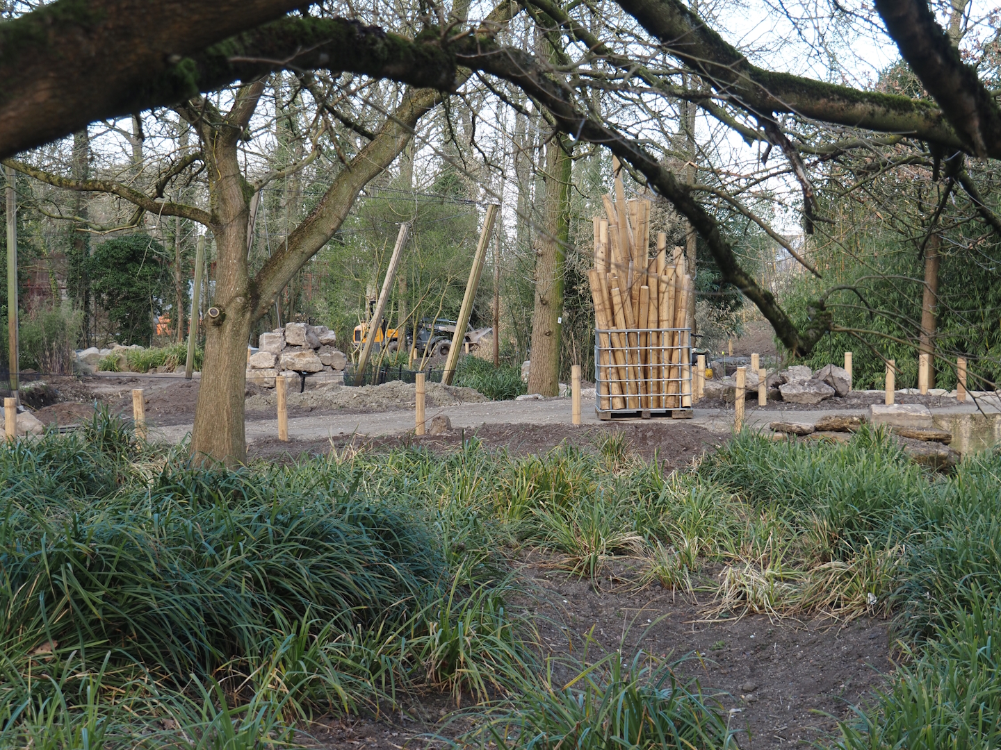 Renovation of the Asian aviaries and construction of a new walkway near the Asiatic lion exhibit, 2025-03-23