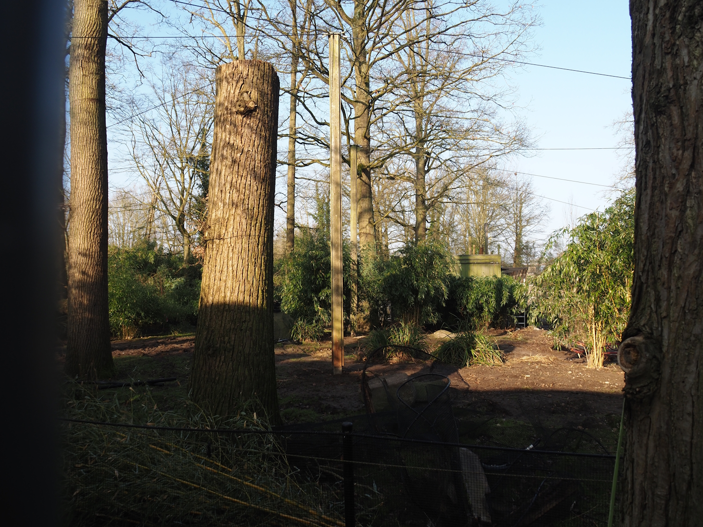 Renovation of the Asian aviaries near the Asiatic lion exhibit, 2025-03-02