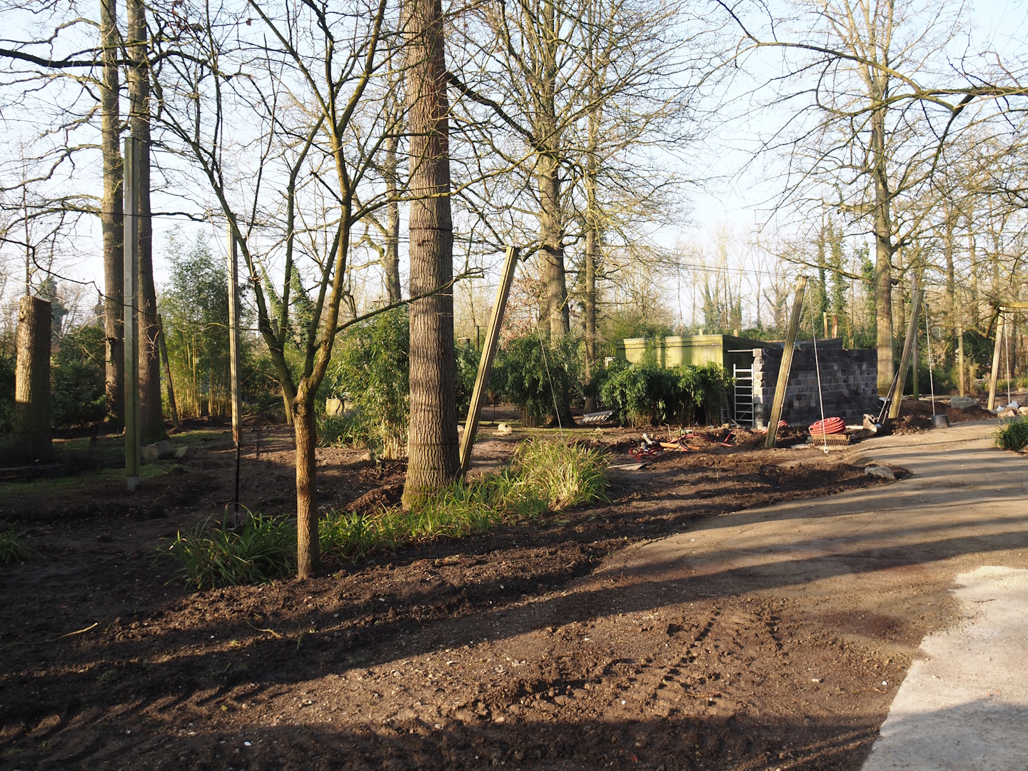 Renovation of the Asian aviaries near the Asiatic lion exhibit, 2025-03-02