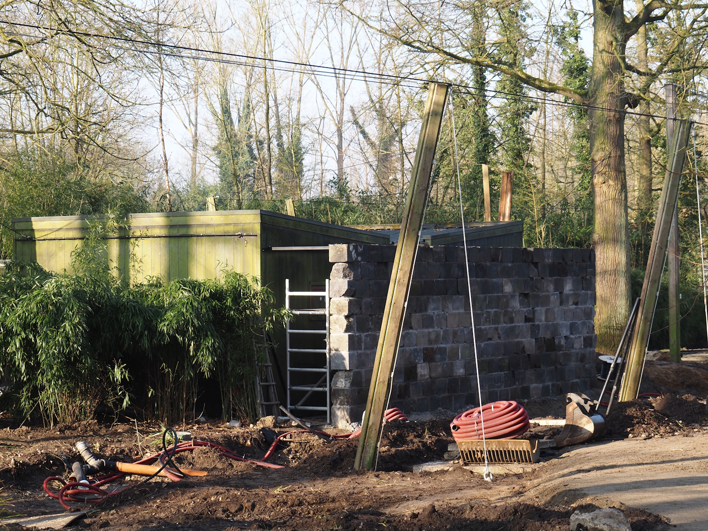 Renovation of the Asian aviaries near the Asiatic lion exhibit - New wall next to bird house, 2025-03-02