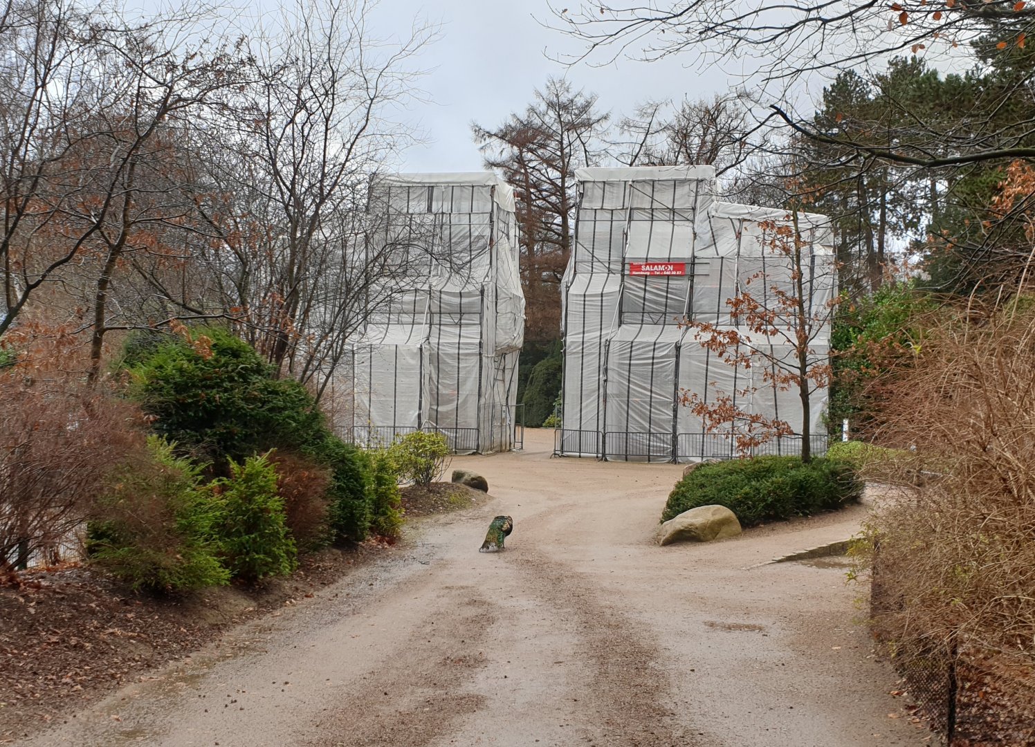 Renovation of the former entrance gate ( and peacock )