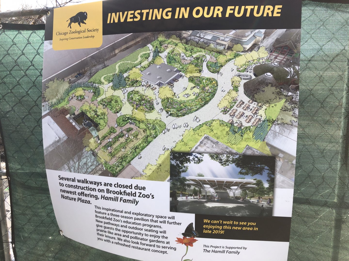 Renovation Plans for Baboon Island