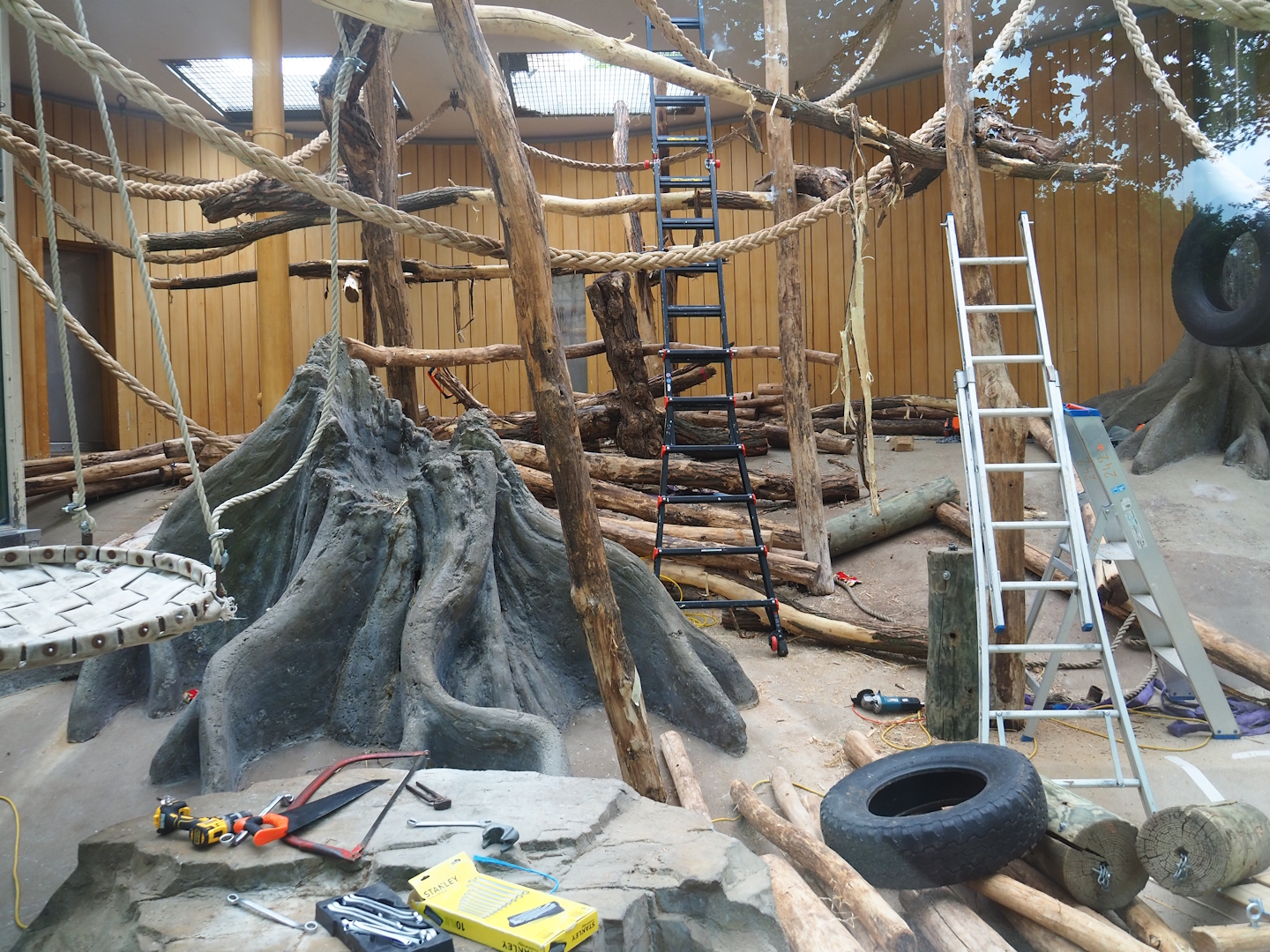 Renovations in Chimpanzee 'sunroom' indoor exhibit, 2023-07-02