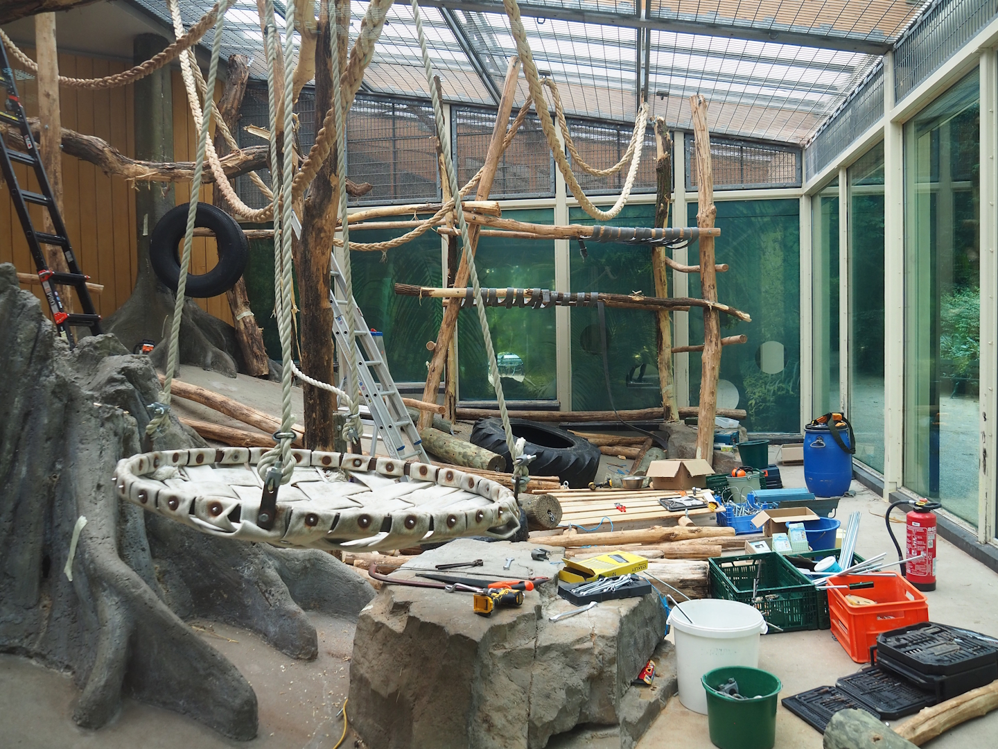 Renovations in Chimpanzee 'sunroom' indoor exhibit, 2023-07-02