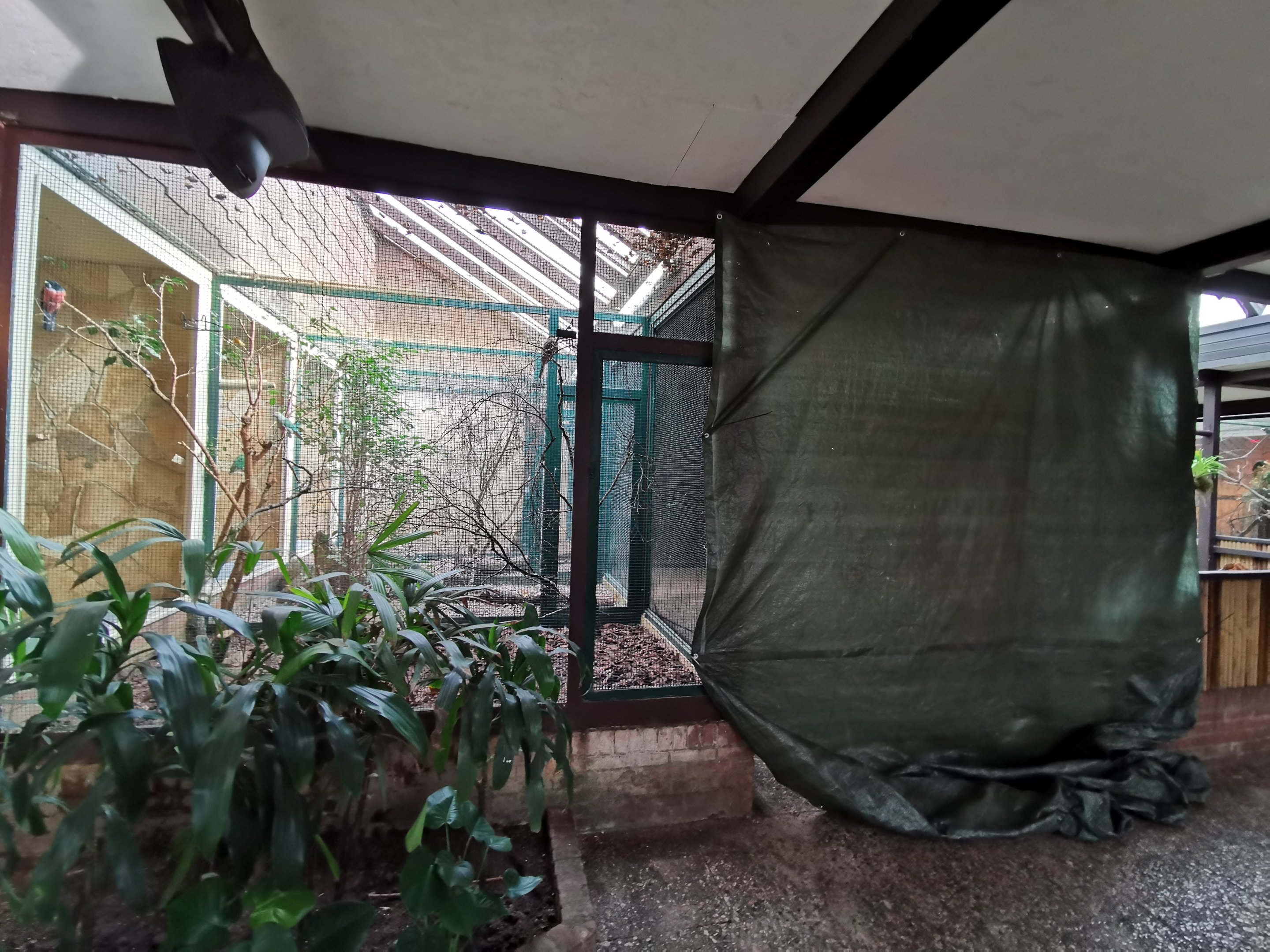 Renovations in Pukara