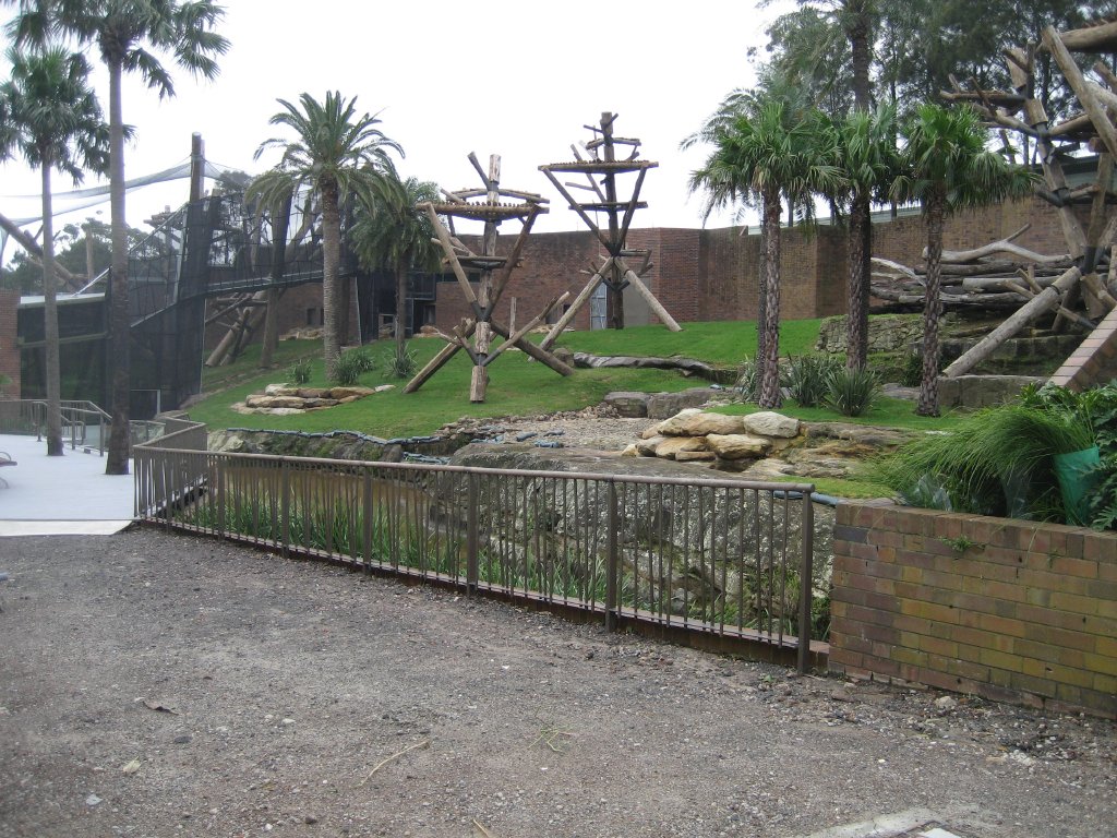 Renovations in the Chimpanzeee Park