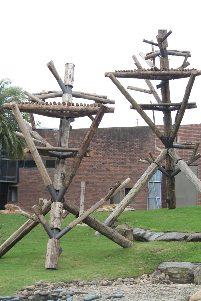 Renovations in the Chimpanzeee Park