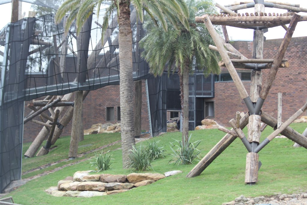 Renovations in the Chimpanzeee Park