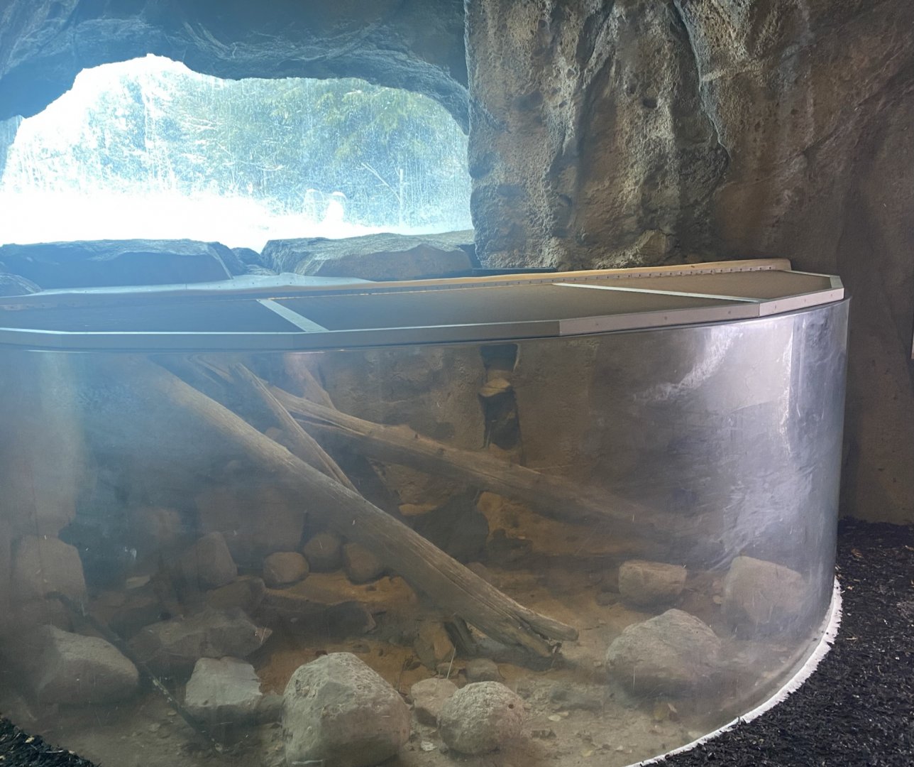 Renovations on the Former Rainbow Trout Tank