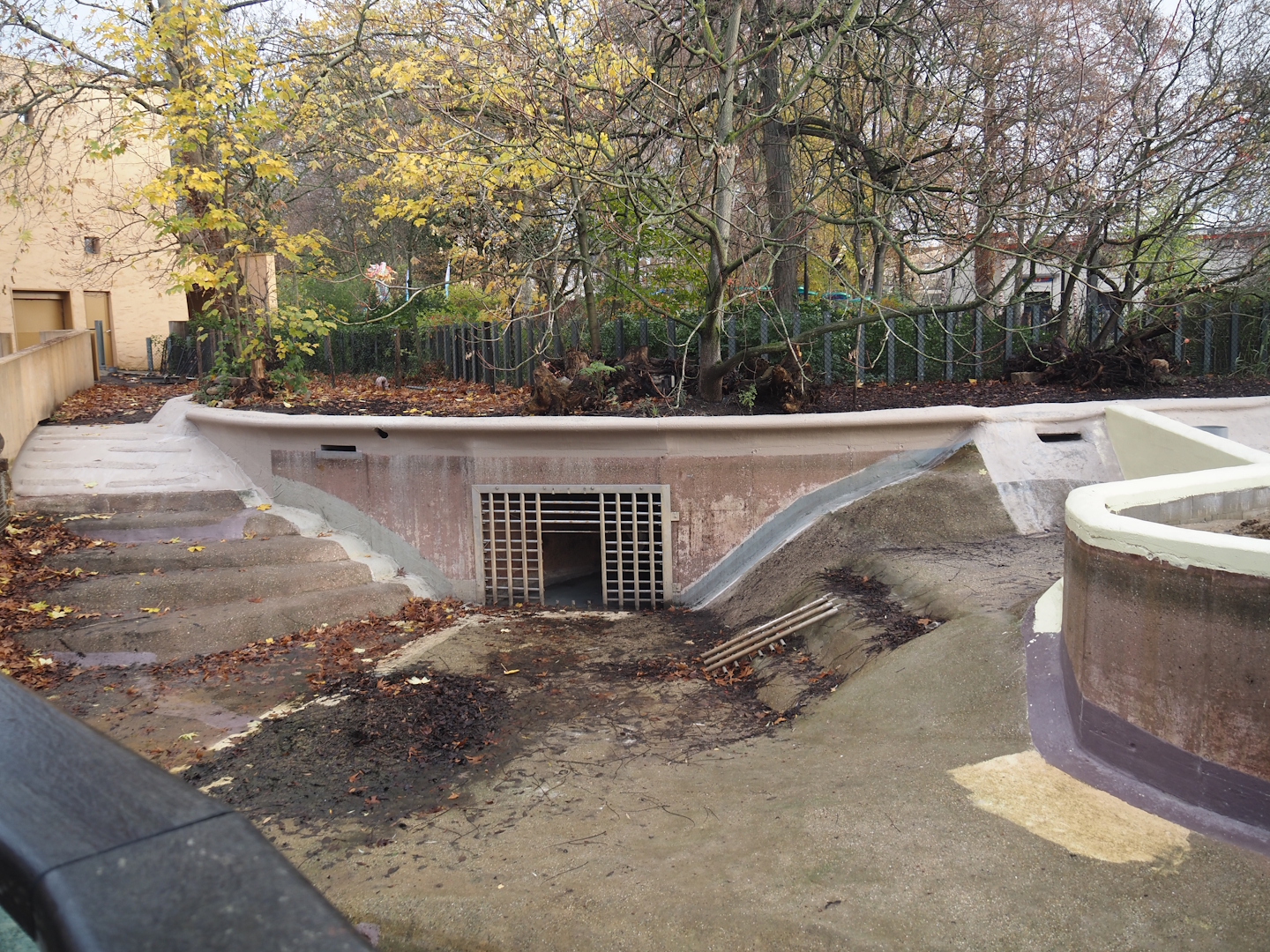 Renovations on the pygmy hippopotamus pool, 2025-11-30