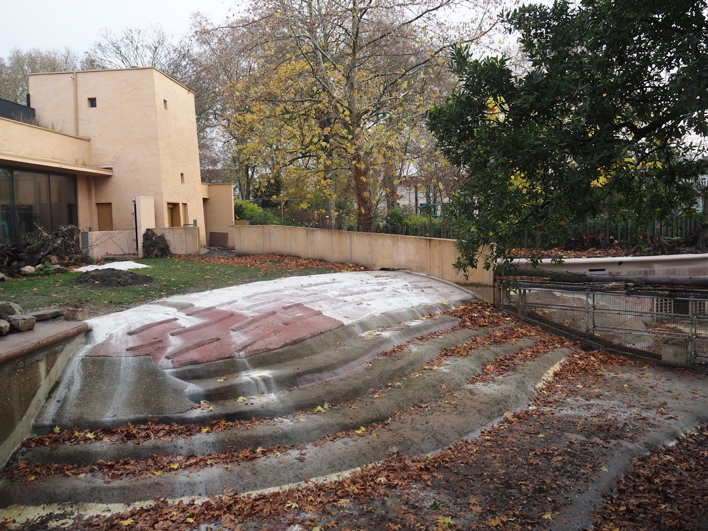 Renovations on the pygmy hippopotamus pool, 2025-11-30