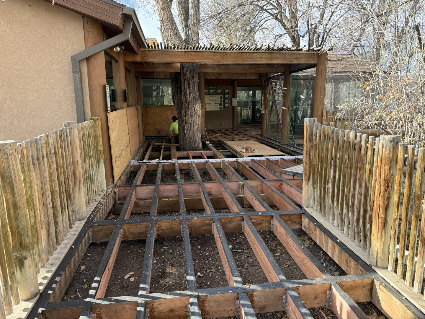 Renovations - Primate Forest