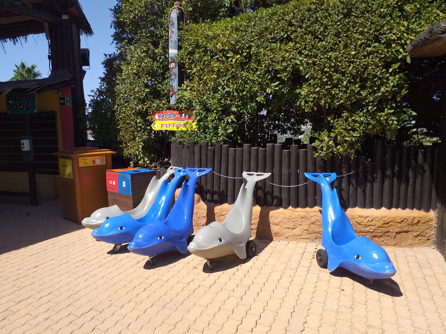Rentable dolphin themed trollies -MundoMar Benidorm (2021)