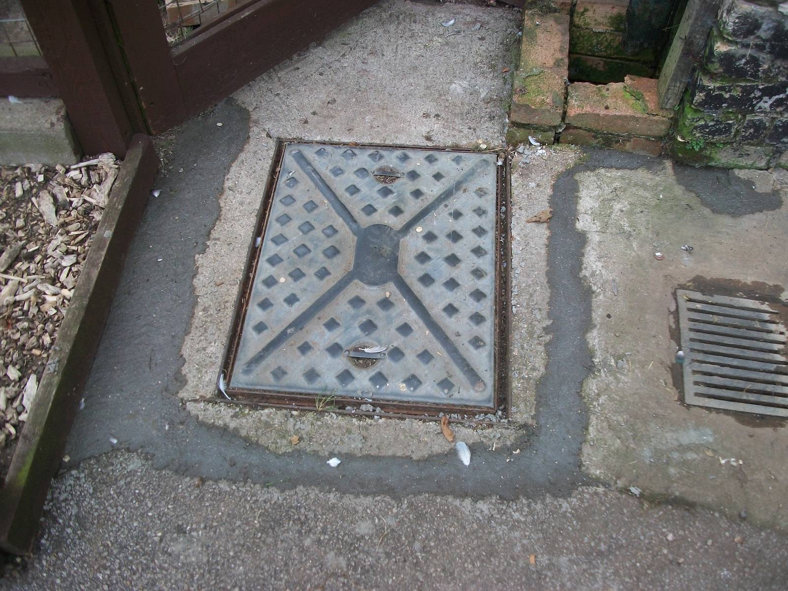 Repairs outside the macaw aviary, 19th September 2014