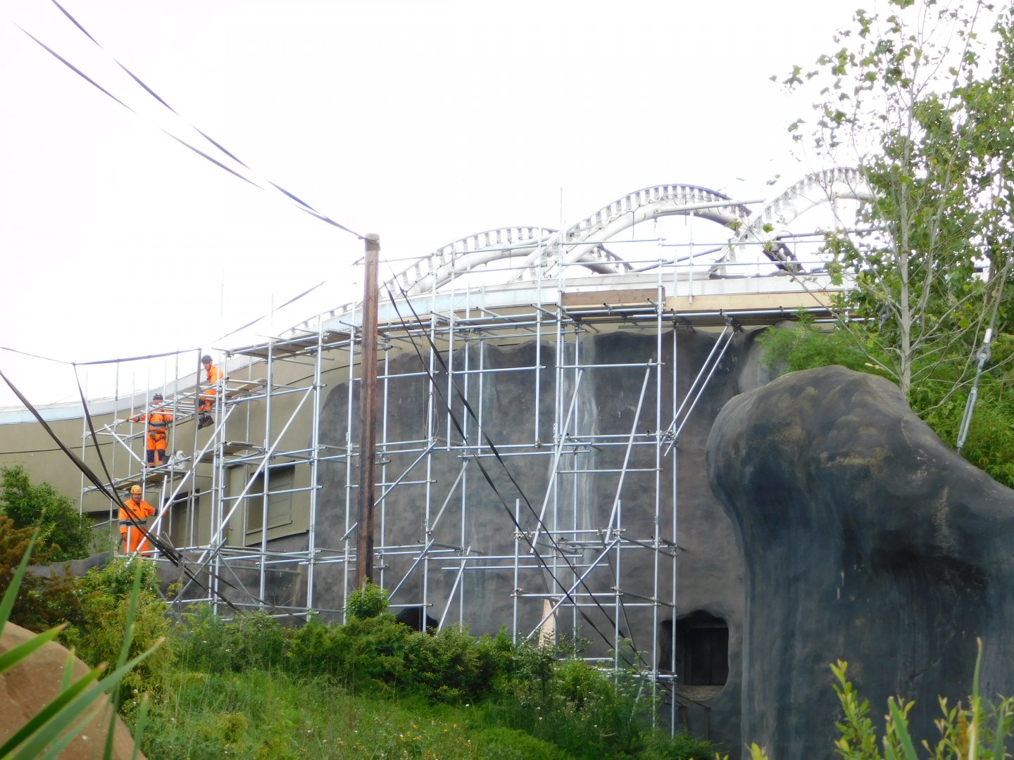 Repairs to Monsoon Forest June 2019