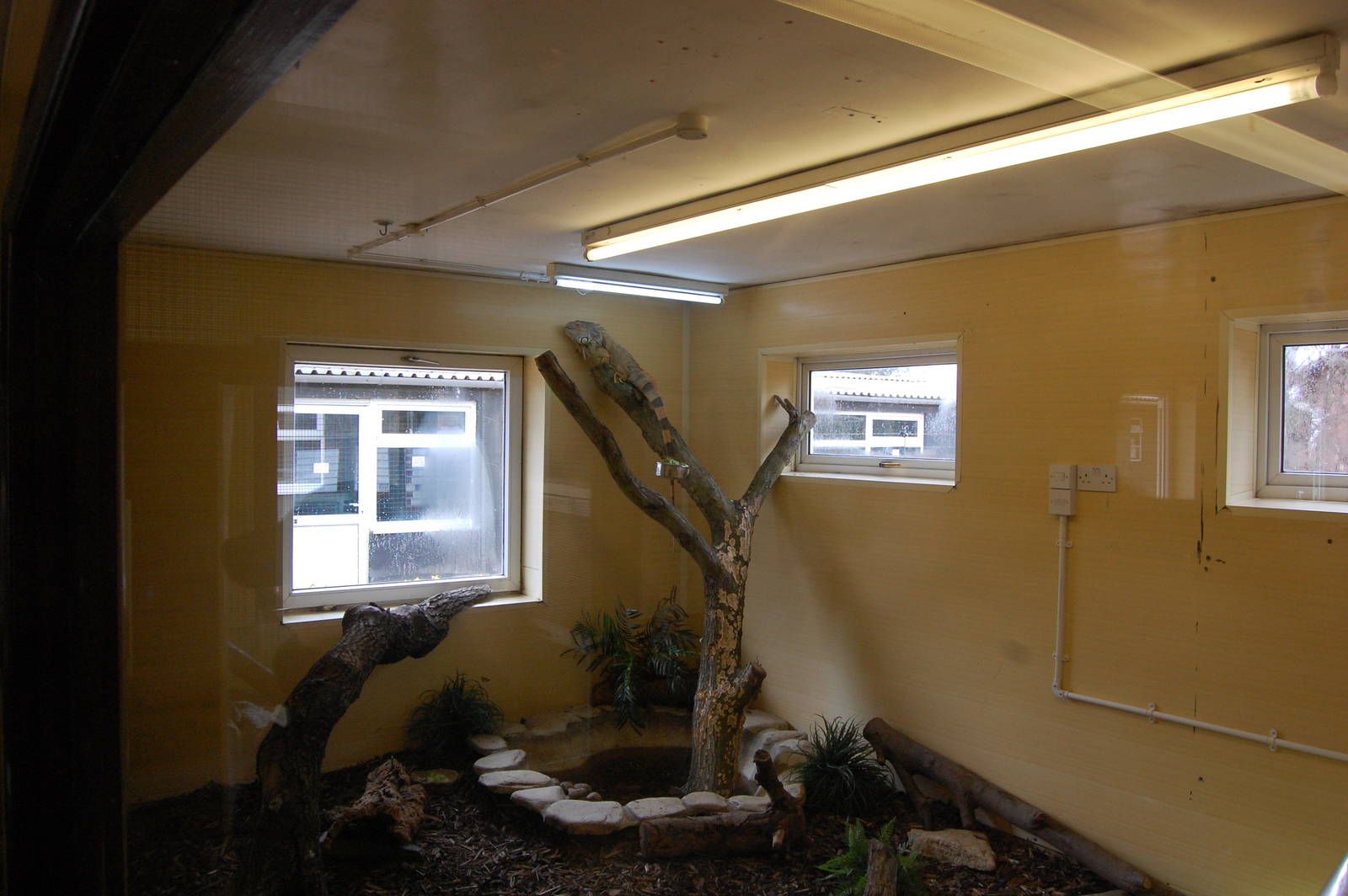 Replacement for Crocs