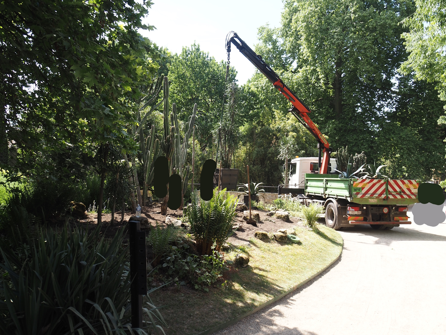 Replanting the desert garden and bringing cacti and agaves outside after winter, 2025-05-14