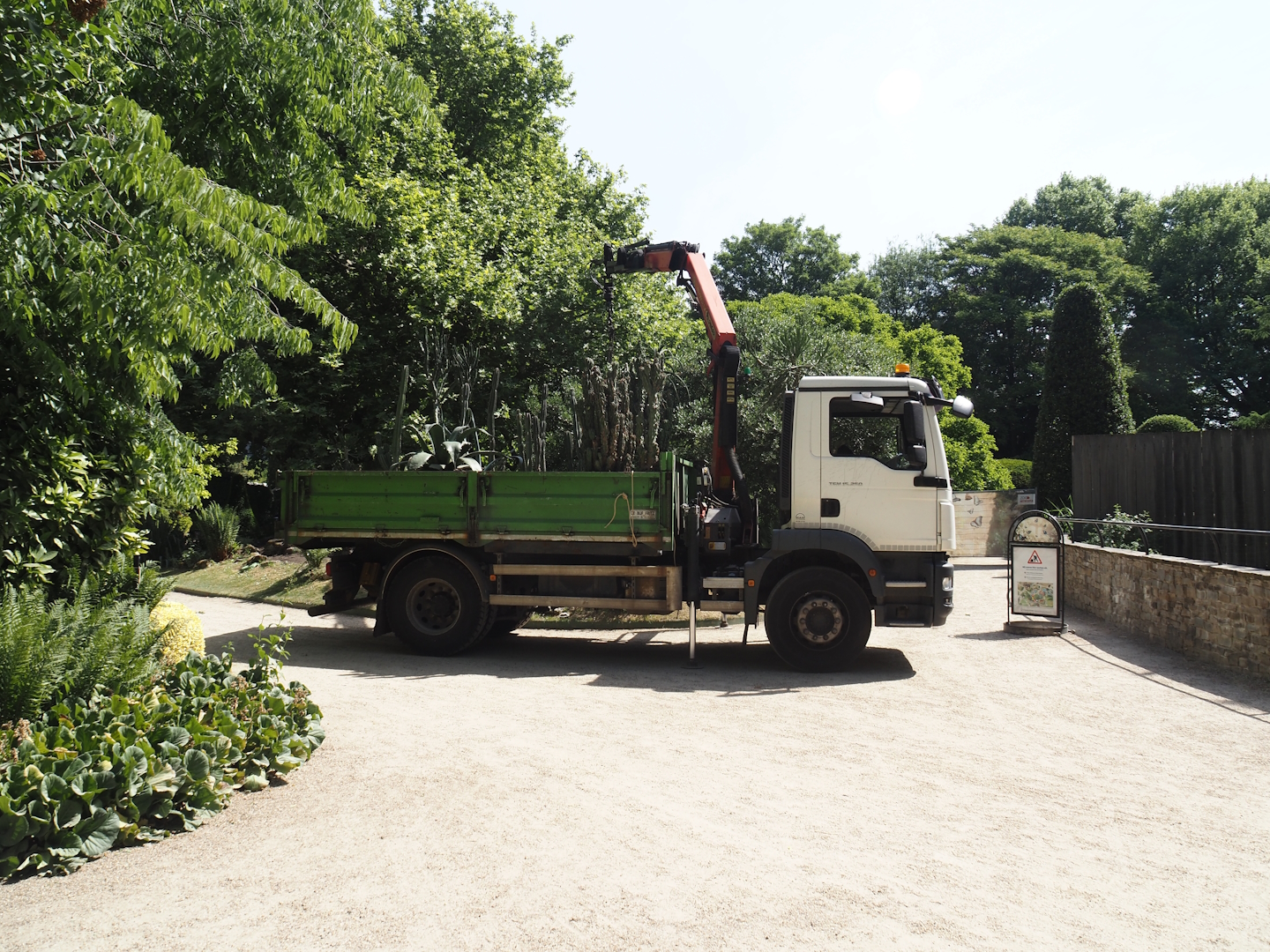 Replanting the desert garden and bringing cacti and agaves outside after winter, 2025-05-14