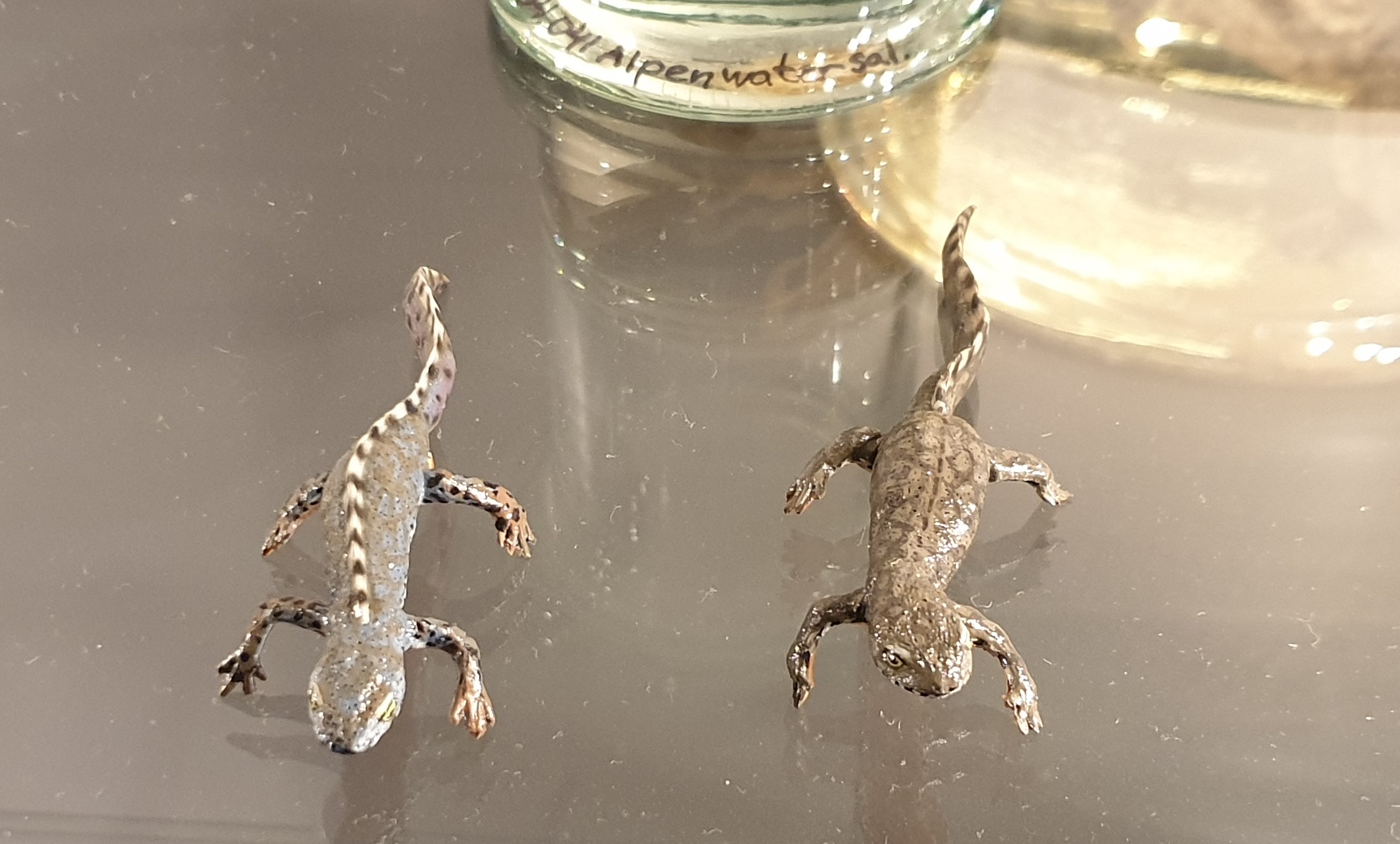 Replica Alpine newts