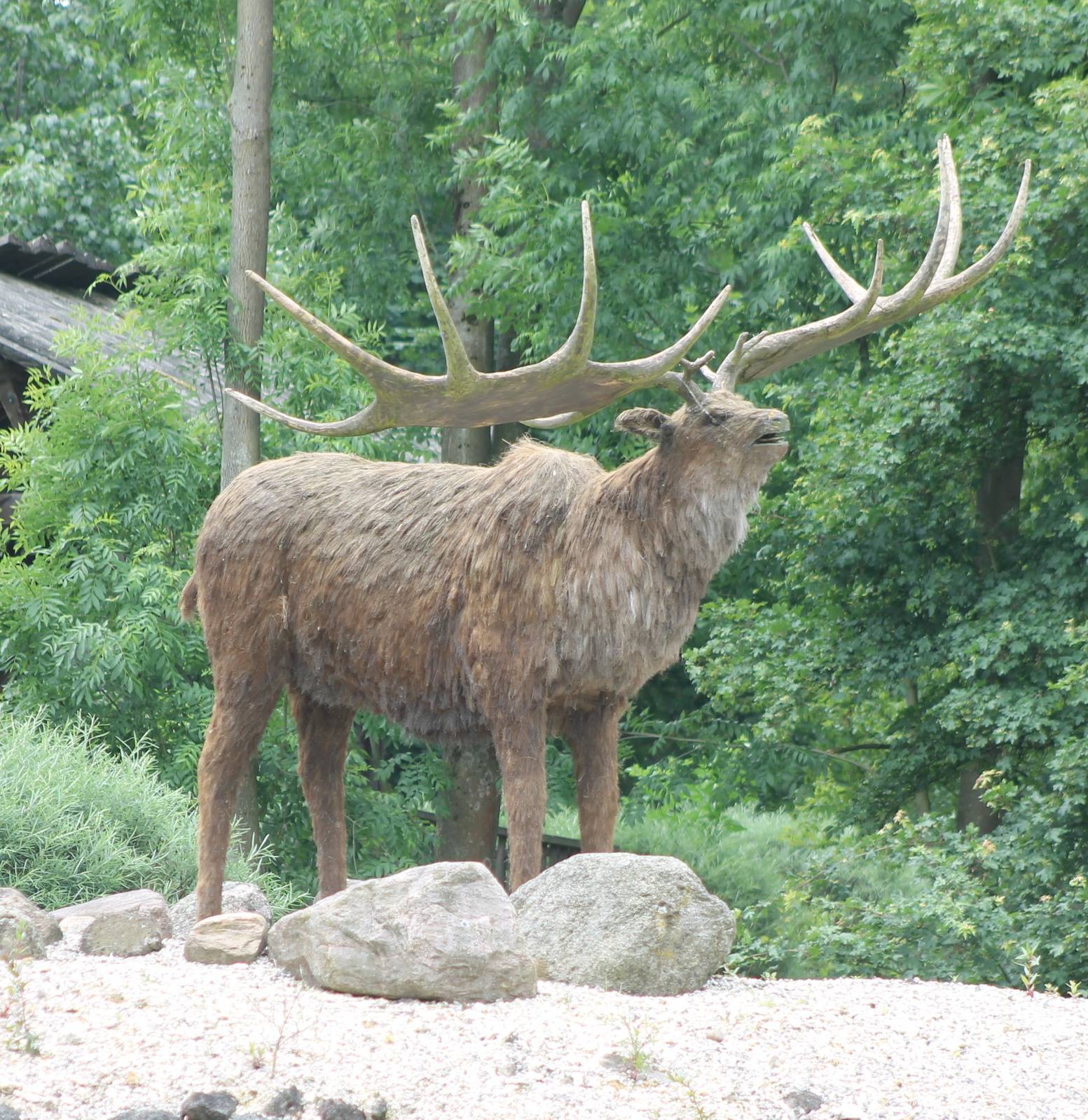 Replica Giant deer
