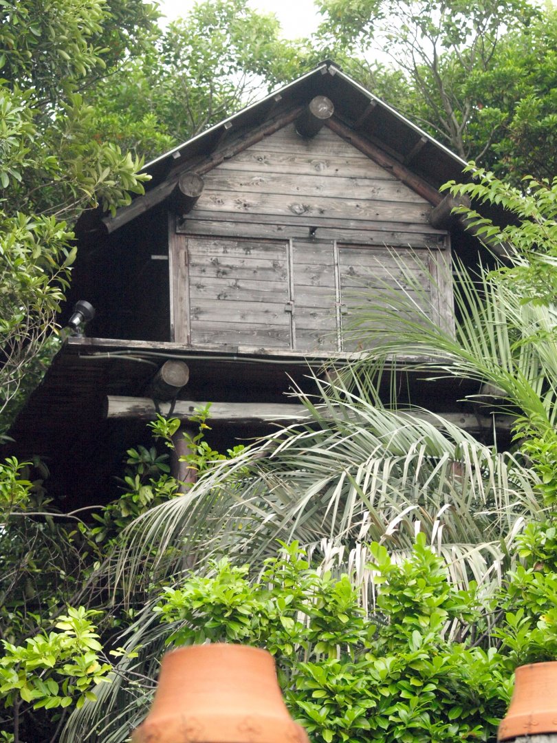 Replica native hut - Amazon jungle