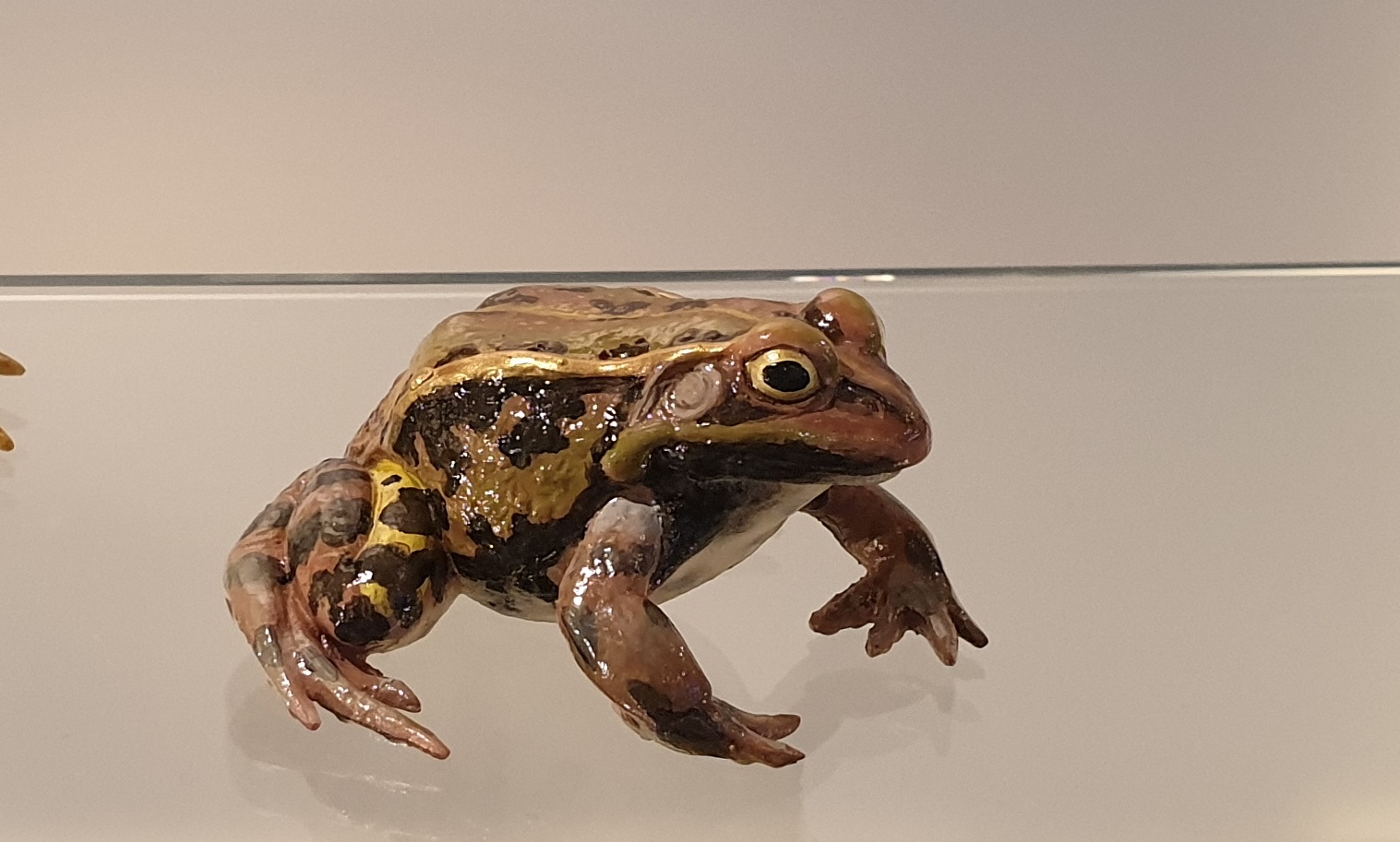 Replica Pool frog