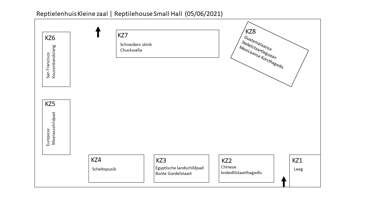 Reptielenhuis Kleine Zaal | Reptile House Small Hall (05/06/2021)